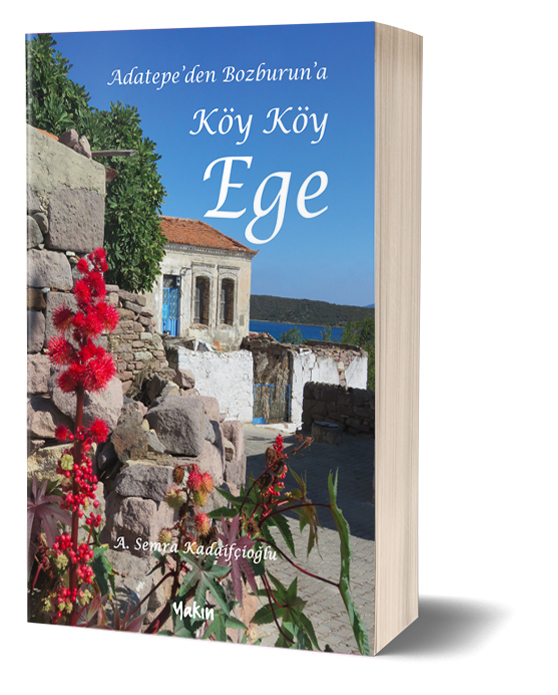 Book Cover: ege