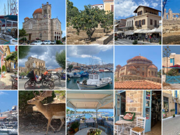 FAUNASI FLORASIYLA EFES SELÇUK